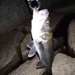 細身のシルエット