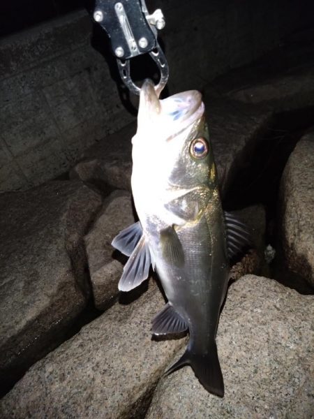 細身のシルエット