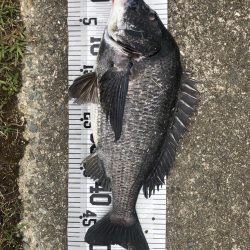 イチノ兄弟(兄)釣果!