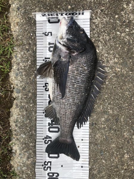 イチノ兄弟（兄）釣果！