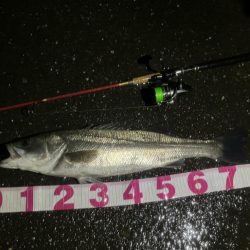 フェザーステーション関東VS関西！