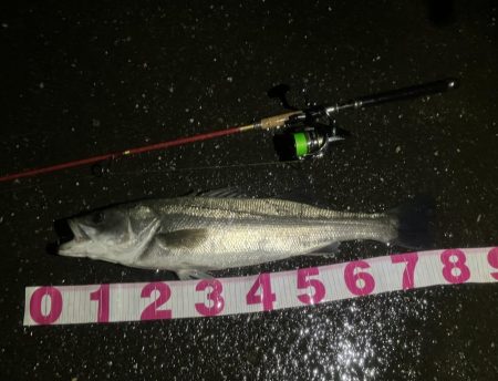 フェザーステーション関東VS関西！