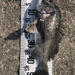 今年初爆釣❗️(イチノ兄弟兄)