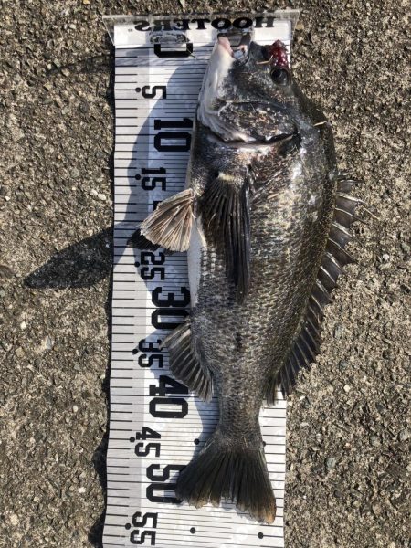 今年初爆釣❗️…