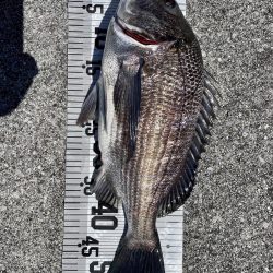 イチノ兄弟（兄）ちょ！