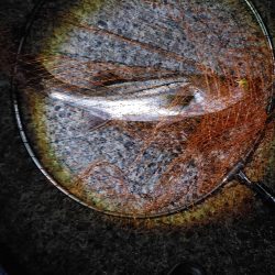 シーバス　難易度Aクラスだと思います