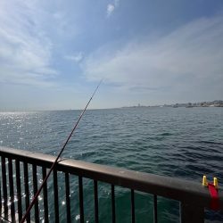 陸は満開　海は咲きだし