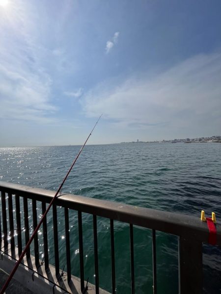 陸は満開　海は咲きだし