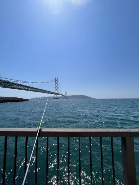 カレイはどこっすか？