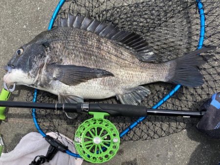 最後の最後で.....