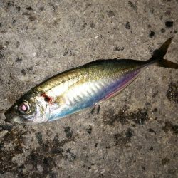 時期が来ましたか？