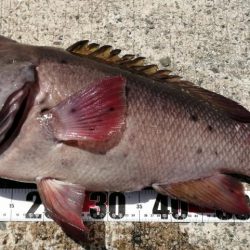 到着後１投目でドカーン