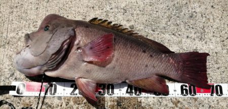 到着後１投目でドカーン