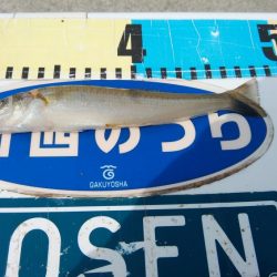 キスの活性が上がりません