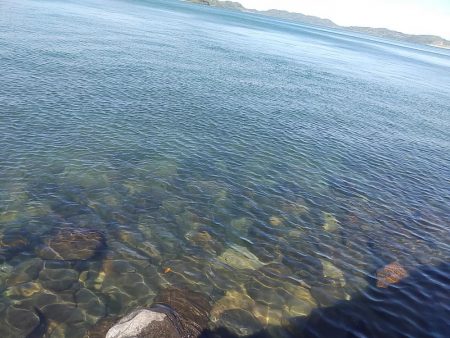 メバルを狙いましたが…