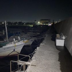 あの手この手で