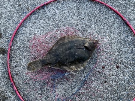 小春日和で紀州釣り