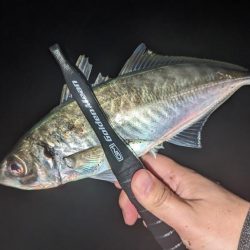 フロートアジング