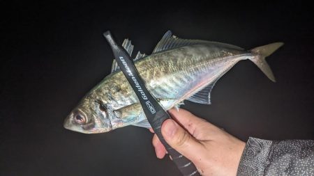 フロートアジング