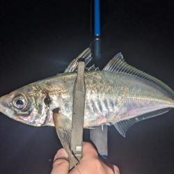 フロートアジング