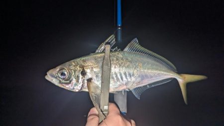 フロートアジング