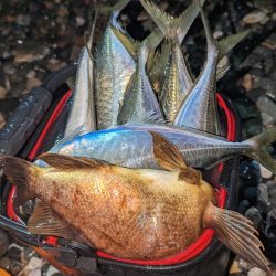 フロートアジング