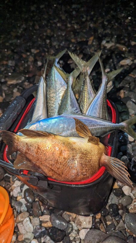 フロートアジング