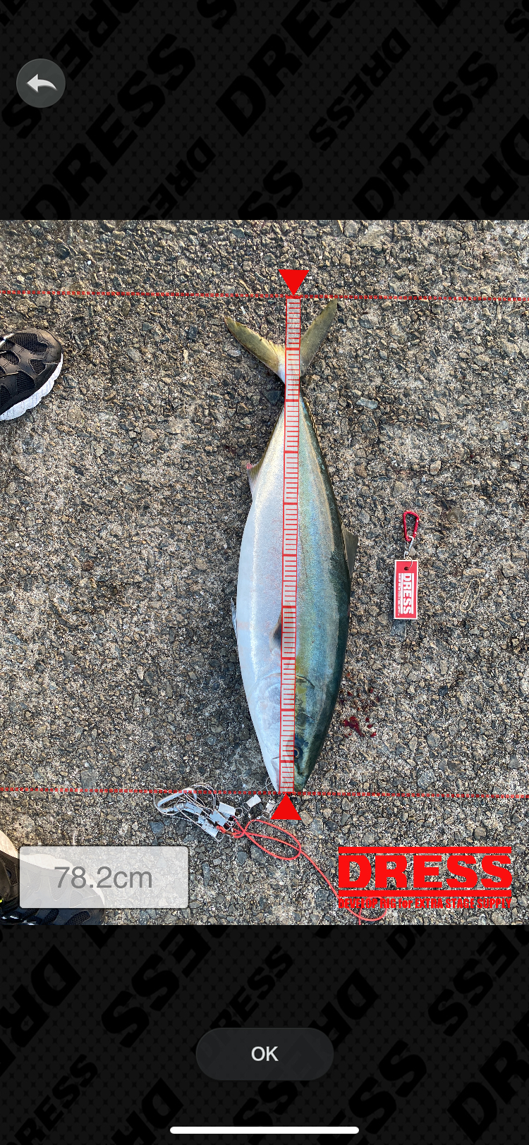 遂に念願の陸っぱりブリ！！