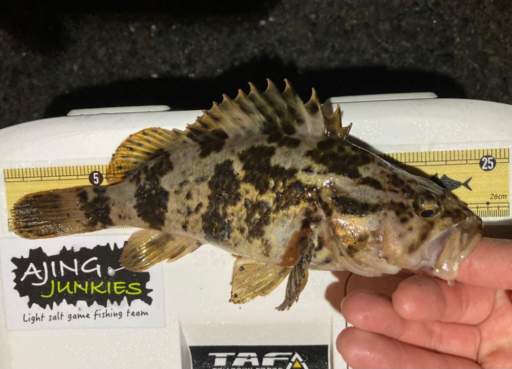 美味しいやつ👍