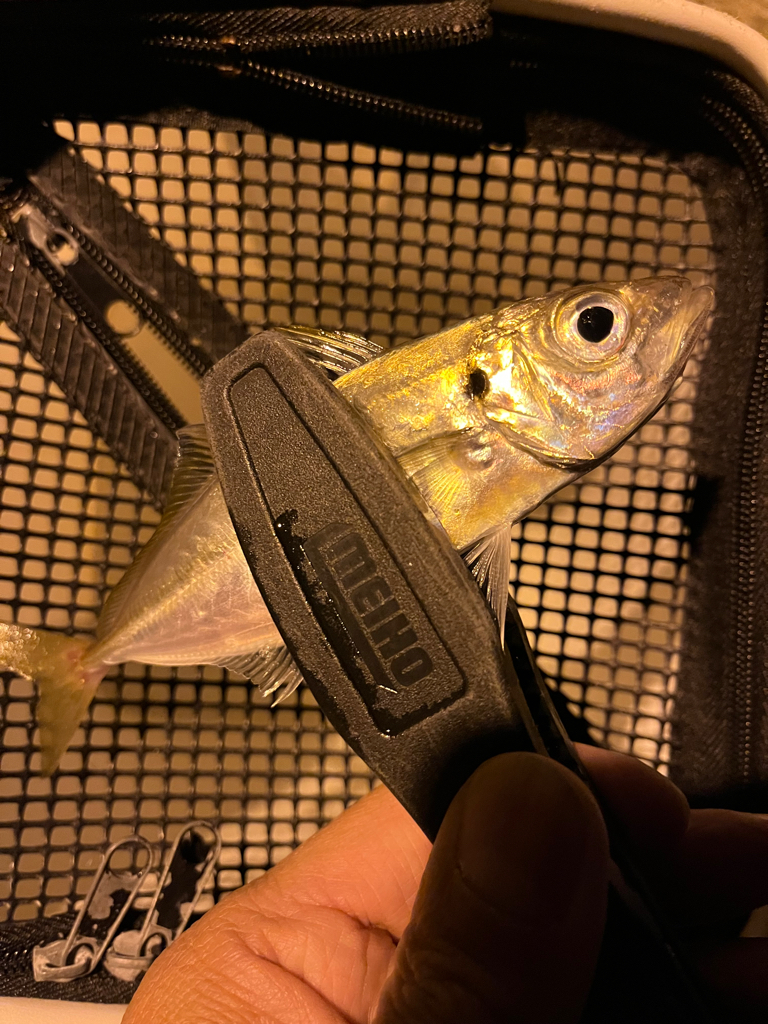 心のシーズンオフ