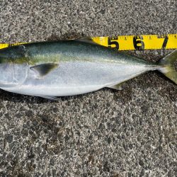 23 ショアジギ　初釣果ブリ‼…