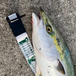 いよいよシーズン開幕_(┐「ε:)_