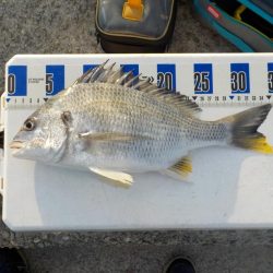 エビ撒き釣り〜初物尽くし〜