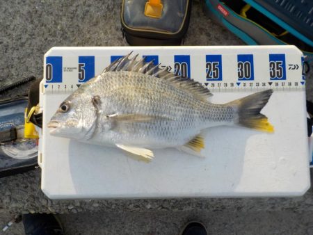 エビ撒き釣り〜初物尽くし〜