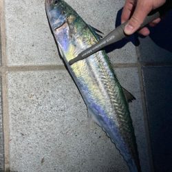 早起きは三文の徳