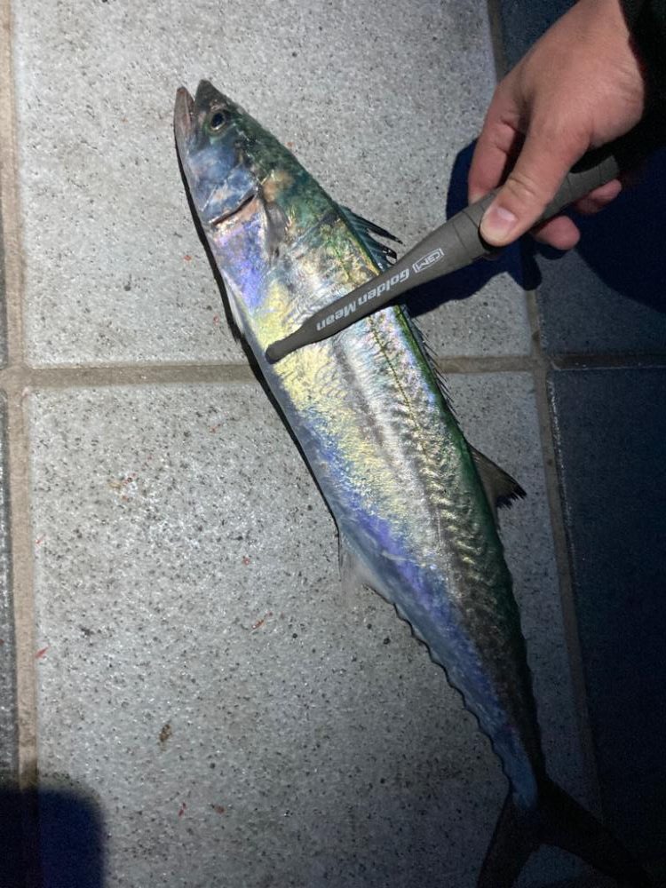 早起きは三文の徳