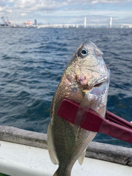 またいしもちー