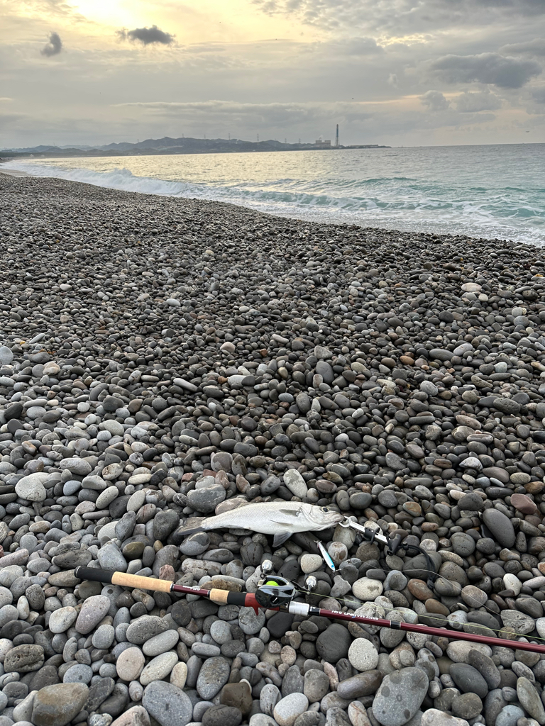 相棒はマリノ9.9Ｈ