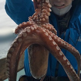 船タコしぶかった