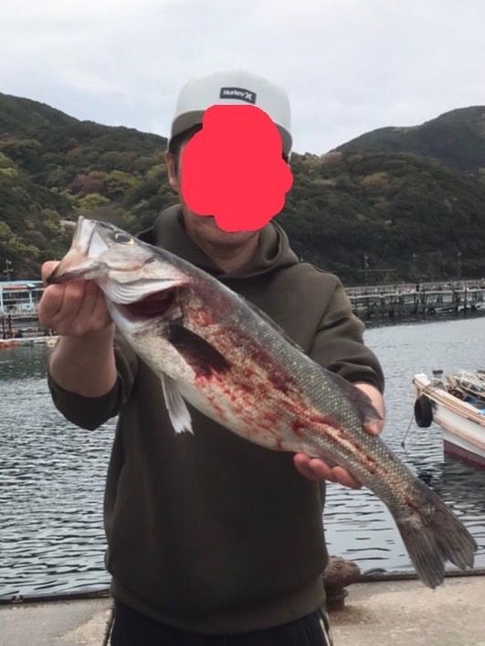 シーバスウヨウヨ!