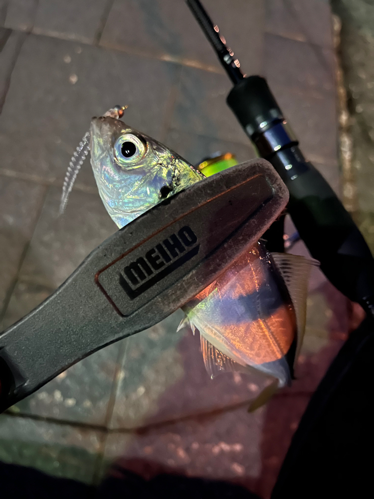 やっぱり時間帯