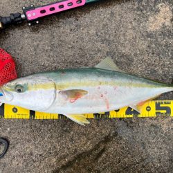 南港　ショアジギング