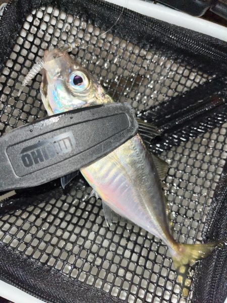 久々にマリーナシティへ