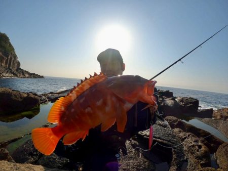 厳しいときにこそジャックアイクネクネ