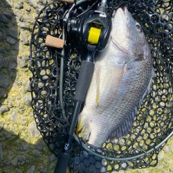 チニング  淀川水門近く