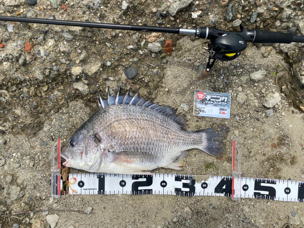 淀川チニング キビレキビレキビレ