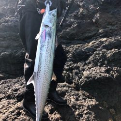 根に巻かれながらもなんとかかんとか