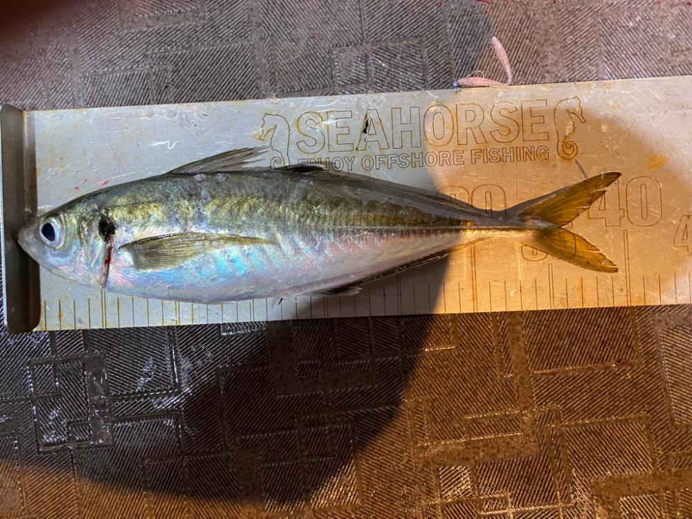 バチコンでギガアジ