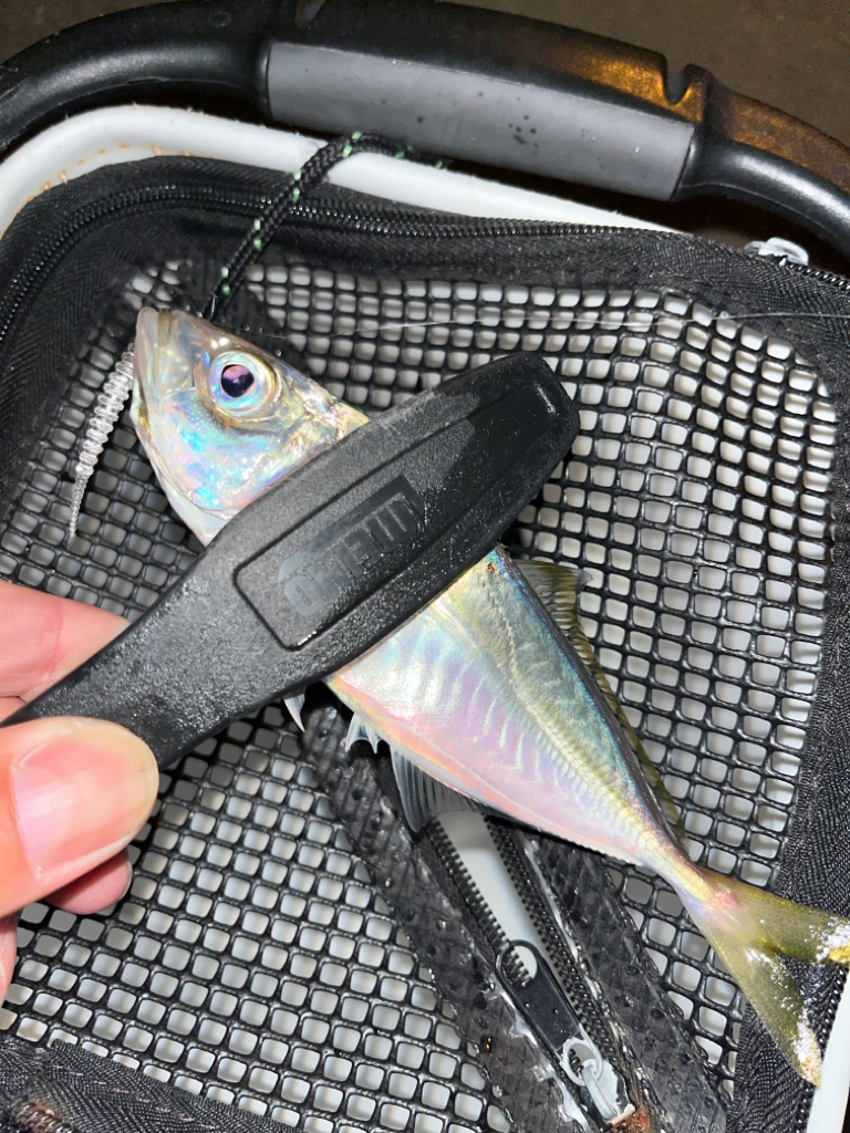 待ち時間での釣果