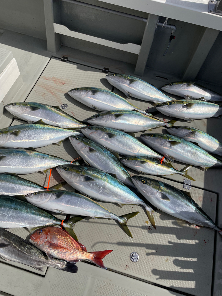 丹後沖のジギング